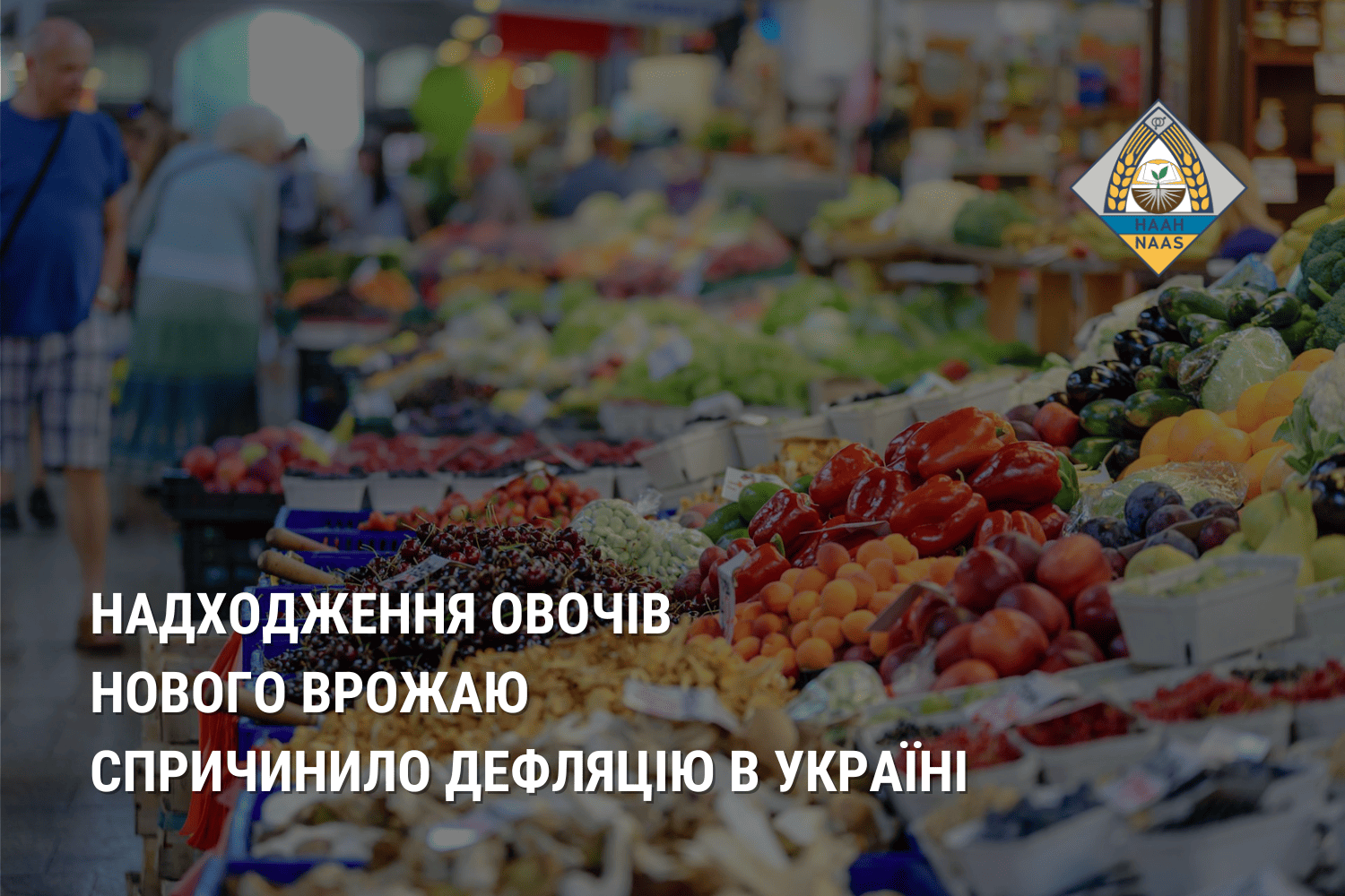 Надходження овочів нового врожаю спричинило дефляцію в Україні Надходження овочів нового врожаю спричинило дефляцію в Україні